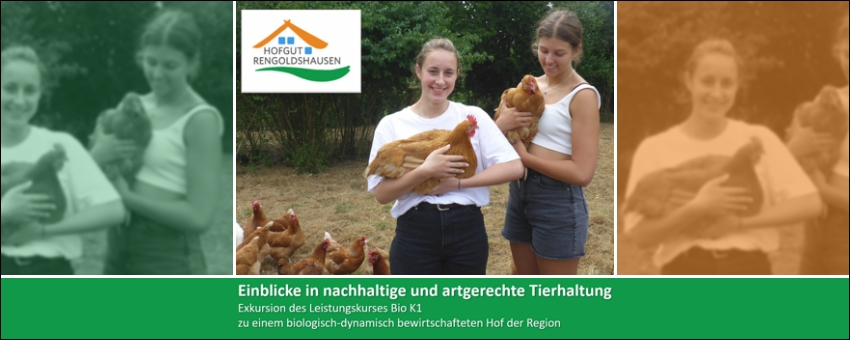 Einblicke in nachhaltige und artgerechte Tierhaltung