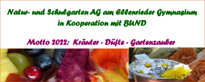 Kräuter, Düfte und Gartenzauber in der Schulgarten-AG