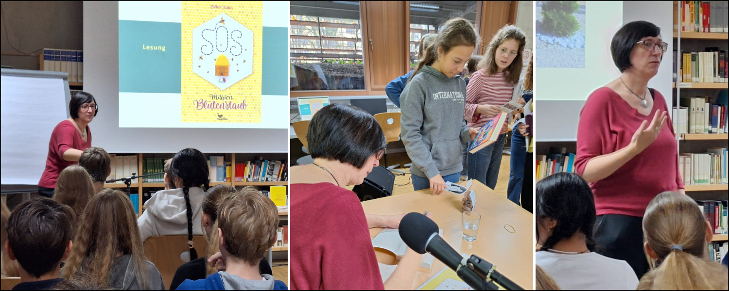 Rettet die Bienen – eine Lesung mit Esther Kuhn