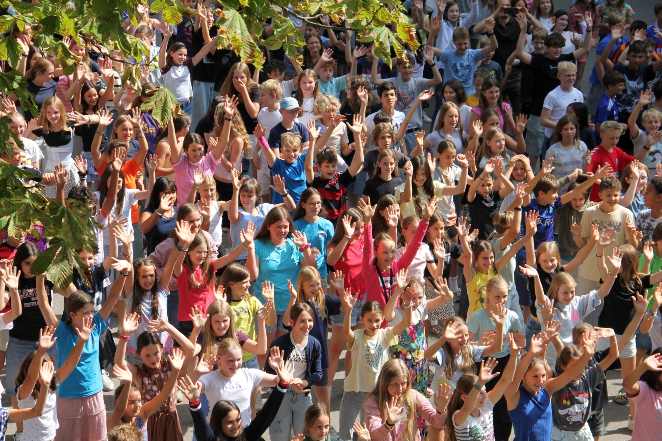 Flashmob_Hanna_11